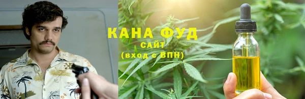 дживик Пестово
