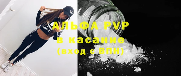 трава Пересвет