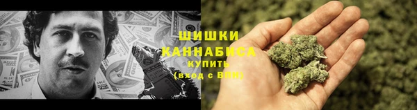дживик Пестово