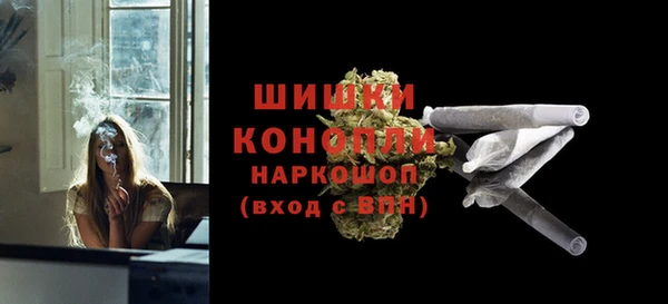 дживик Пестово