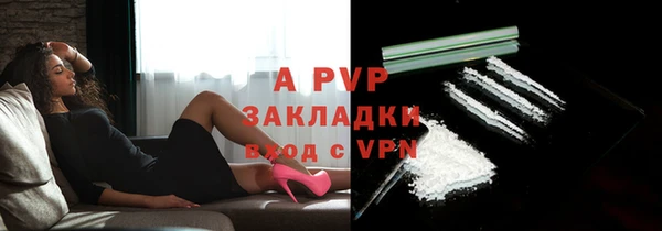 трава Пересвет