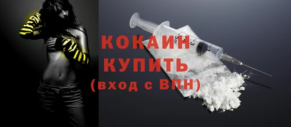 дживик Пестово